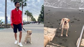 El especial motivo que retrasó la llegada de Vozinha a Colo Colo: tenía que gestionar el cuidado de su perrita