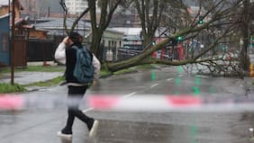 Actualizan situación por temporal que sacude a diversas regiones del país: más de 100 casas dañas y 160 mil clientes sin luz