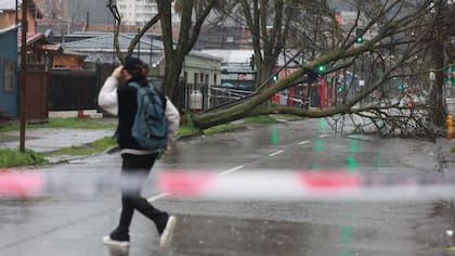 Actualizan situación por temporal que sacude a diversas regiones del país: más de 100 casas dañas y 160 mil clientes sin luz