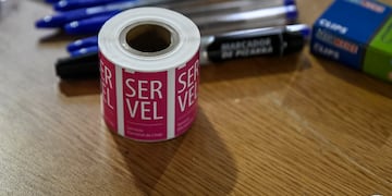 Fotografias referenciales elecciones 2024.