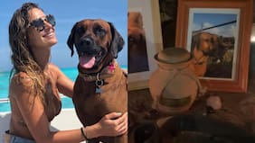 Mayte Rodríguez hizo especial ritual en el aniversario de muerte de su perrita: “Gracias a todos los que estuvieron ahí”