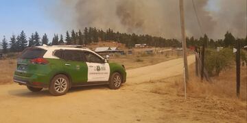 Incendio en Pumanque