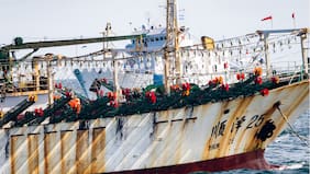 Informe internacional alerta por abusos laborales y daños ambientales en flota china que caza jibias en el Pacífico