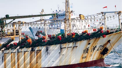 Informe internacional alerta por abusos laborales y daños ambientales en flota china que caza jibias en el Pacífico