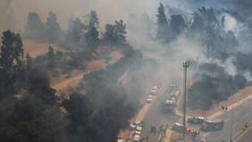 Onemi declaró alerta roja en Viña del Mar tras incendio forestal que afectó a Jardín Botánico de la ciudad