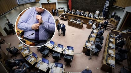 La “Cuota Flores” podría no ser la única: otro senador es investigado por presunto truco con plata pública