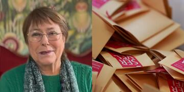 Michelle Bachelet llamó a participar en las primarias.