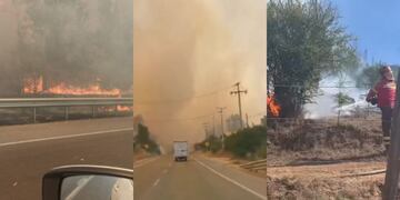 Incendios forestales