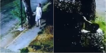 “pistolero de La Reina”