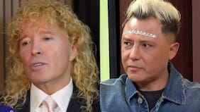 Farkas se querella contra Sergio Rojas (y no contra Claudia Schmitd), autor de los dichos sobre supestas “fiestas”