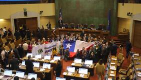 “Gatillo fácil”: Estos fueron los diputados que rechazaron artículo clave de la Ley Naín-Retamal