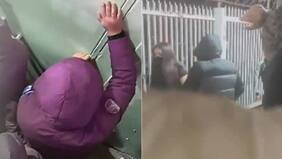 “Se enfrentó con los tipos”: el desgarrador grito de locataria que logró frenar saqueo en su local de Cerro Navia