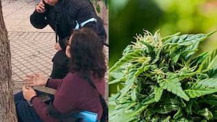 Quedó “volada” con el golpe: mujer fue herida por macetero con planta de cannabis