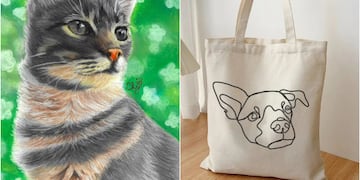 Emprendimiento Pinta Patitas