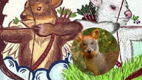 Pudú Fest celebra su segunda edición: evento recuerda a querido pudú asesinado por perro