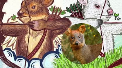 Pudú Fest celebra su segunda edición: evento recuerda a querido pudú asesinado por perro