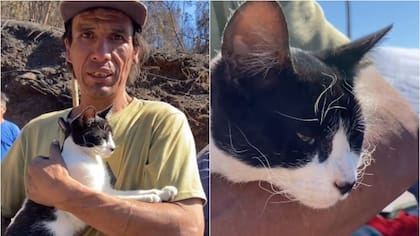 “Quedó con sus bigotitos todos quemados”: la historia de Julio, el gato que salvó a su dueño en medio del incendio en Lirquén