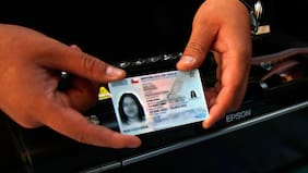 Ley extiende a 20 años la vigencia de la cédula de identidad: Estos son los beneficiados