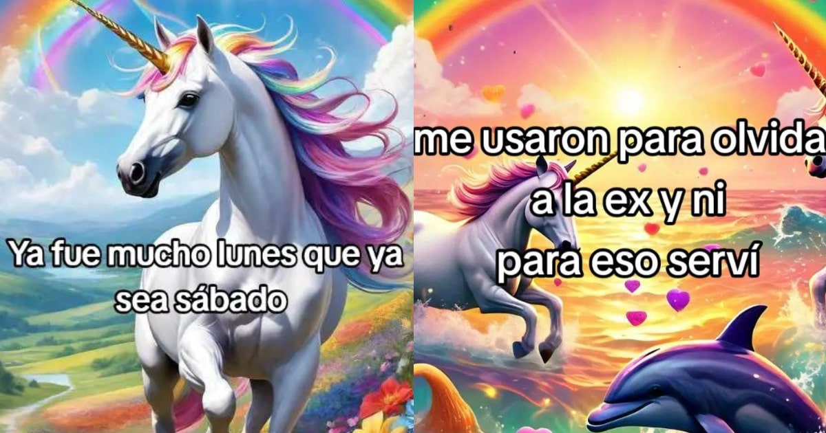 Symphony Dolphin, la historia del meme viral en redes sociales | Tendencias