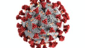 Similares pero no iguales: las diferencias entre las variantes Delta y Ómicron