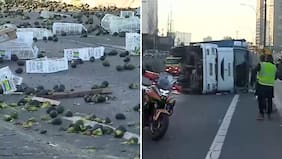 Camión con carga de paltas se volcó en autopista y la gente se bajó de los autos para robárselas