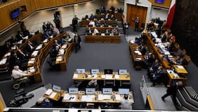 Camila Flores también le hizo la cruz: los 24 senadores que votaron en contra del levantamiento del secreto bancario