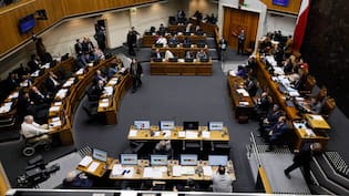 Camila Flores también le hizo la cruz: los 24 senadores que votaron en contra del levantamiento del secreto bancario
