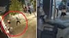 Imágenes sensibles: miembros del Tren de Aragua atacan a sujeto que caminaba con la polola y lo matan en conserjería