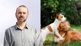 Académico chileno crea la primera vacuna del mundo para esterilizar perros