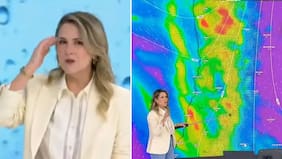 “Me cuesta que la lógica lo acepte”, “es una locura”: La inquietante advertencia de Michelle Adam sobre inédito aguacero
