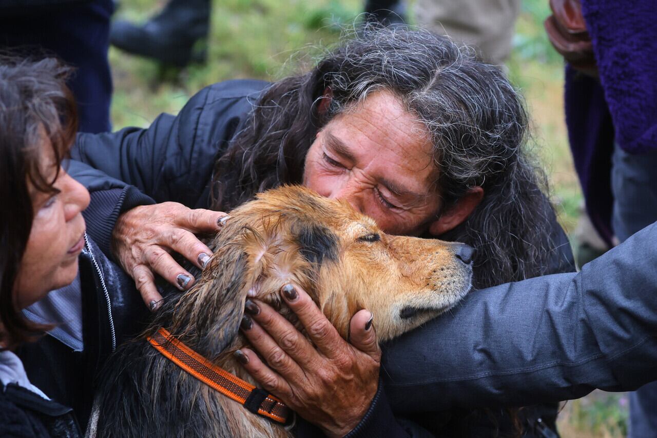Perro Morocho rescatado del Río Mapocho.