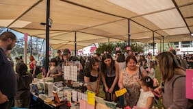 Primavera del Libro celebra su nueva edición en el Parque Estadio Nacional: más de 230 editoriales, actividades gratuitas y música en vivo