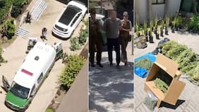 Vecinos de Lo Barnechea lo echaron al agua: cae sujeto que usaba entretecho de mansión para cultivar marihuana