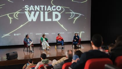 Los estrenos internacionales que tendrá la nueva edición del Festival de Cine Santiago Wild