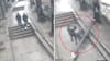 Impactante video: árbol aplastó a menor de edad en medio de intenso temporal en el Biobío