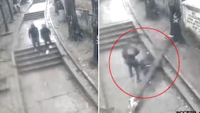 Impactante video: árbol aplastó a menor de edad en medio de intenso temporal en el Biobío