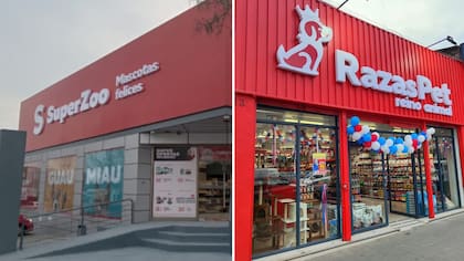 Se abuenaron perros y gatos: Así terminó el conflicto de marca entre SuperZoo y RazasPet