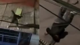 “¡Soy el diablo!”: sujeto se hizo viral al gritar que era el mismísimo demonio y caer duramente contra el pavimento desde un techo