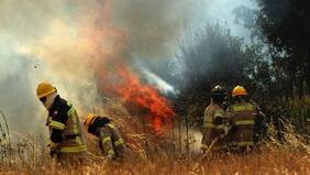 A lo señor Burns: algunos empleadores no permiten a bomberos ausentarse para combatir los incendios forestales
