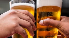 ¡Salud!: Cervecería chilena alcanza las 170 medallas internacionales