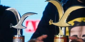 Gaviota de oro y plata