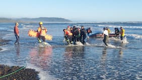 Identifican a víctimas de tragedia en Toltén: funcionario de Municipalidad de Temuco y su padre fallecieron tras volcamiento de embarcación