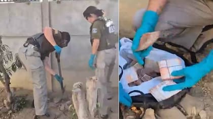 Niñera alertó a su jefa sobre robo de caja con ahorros familiares: ella era la ladrona y pillaron 30 palos enterrados