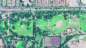 Alerta por drástica disminución de árboles en Santiago