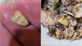 Hombre encontró “objeto extraño” dentro de su lata de jurel: le ofrecieron gift card de $5 mil como compensación