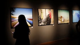“Los ojos del territorio: Despertar el sueño”: visita la primera muestra fotográfica de Apple en Chile