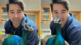 Lo que le hizo al ave no pasó desapercibido: Javier Olivares desata ola de comentarios por video con un pavo real