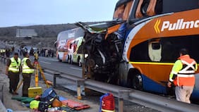 Llamado al gobierno: diputados UDI exigen poner urgencia a proyecto que prohíbe la circulación de buses de dos pisos