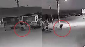 Se viraliza supuesto video paranormal: impacto en México por “aparición de nahual” en Chile