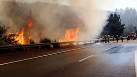 Cómo denunciar si ves humo o un incendio forestal